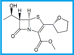 FAROPENEM METHYL ESTER